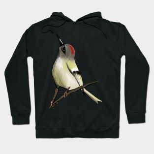 Ruby-Crowned Kinglet Hoodie